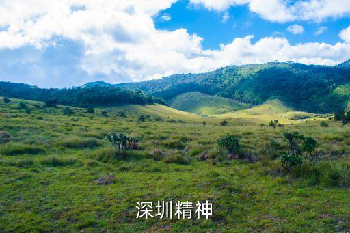 深圳精神是一家什么樣的公司，什么是深圳特區(qū)精神