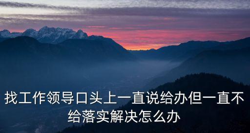 上海市檔案局組織人事處處長，找工作領(lǐng)導(dǎo)口頭上一直說給辦但一直不給落實(shí)解決怎么辦