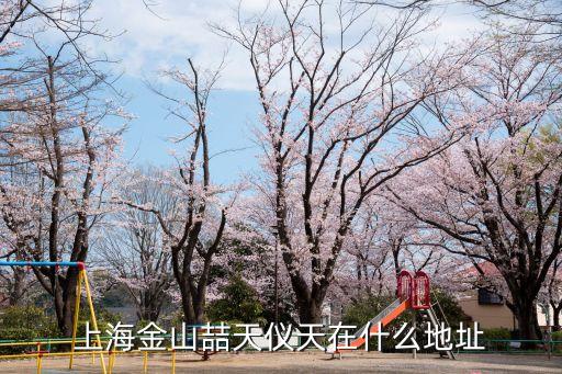 上海金山喆天儀天在什么地址