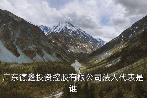 廣東德鑫投資控股有限公司法人代表是誰(shuí)
