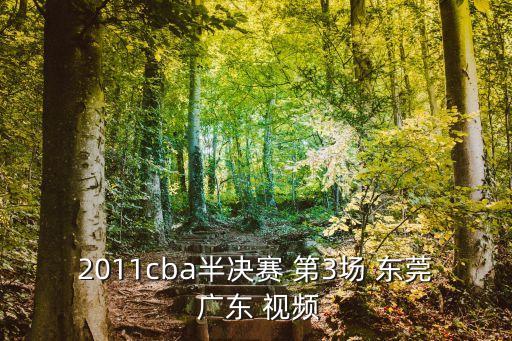 東莞草根籃球聯(lián)賽視頻，CBA官方網(wǎng)站上比賽錄像1011CBA聯(lián)賽半決賽 東莞VS廣東第四節(jié)4分