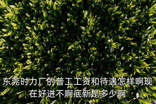 東莞時力廠的普工工資和待遇怎樣啊現在好進不啊底新是多少啊
