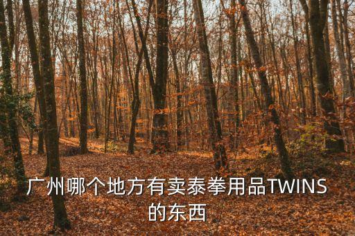 廣州哪個地方有賣泰拳用品TWINS的東西