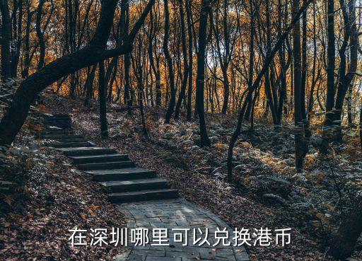 在深圳哪里可以?xún)稉Q港幣