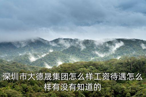 深圳市大德晟集團怎么樣工資待遇怎么樣有沒有知道的