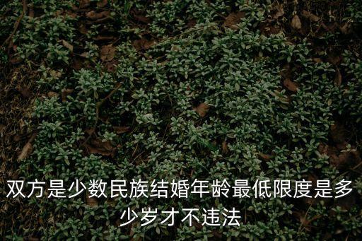 雙方是少數民族結婚年齡最低限度是多少歲才不違法