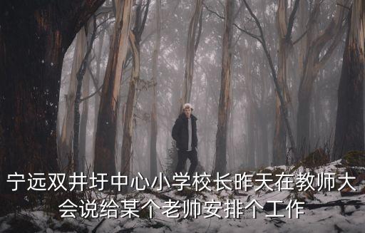 深圳市寧遠何景成，寧遠雙井圩中心小學校長昨天在教師大會說給某個老帥安排個工作