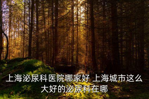 上海泌尿科醫院哪家好 上海城市這么大好的泌尿科在哪