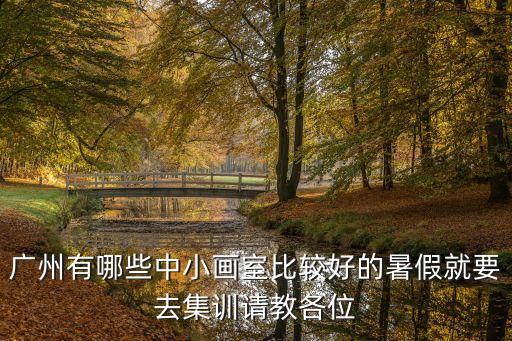 廣州兒童畫室培訓(xùn)班，廣州有比較好的兒童插畫培訓(xùn)班嗎而且有提供就業(yè)機(jī)會(huì)的