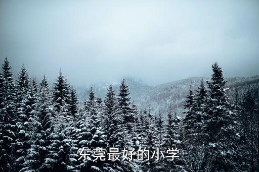 東莞最好的小學(xué)