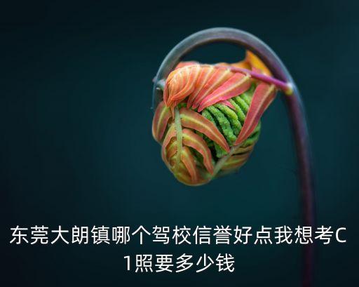 東莞大朗鎮哪個駕校信譽好點我想考C1照要多少錢