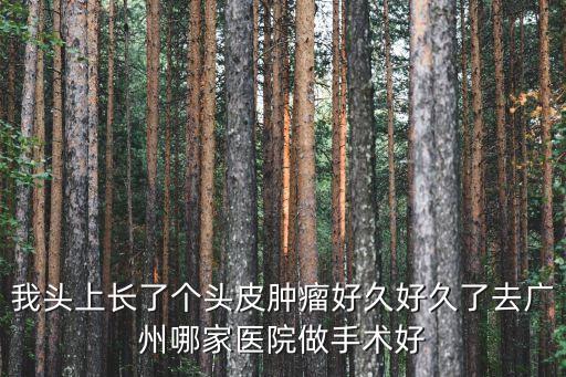 廣州女子頭上帶瘤，我頭上長了個頭皮腫瘤好久好久了去廣州哪家醫(yī)院做手術(shù)好