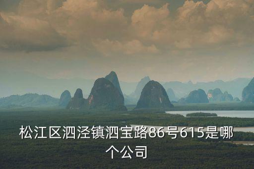 松江區泗涇鎮泗寶路86號615是哪個公司