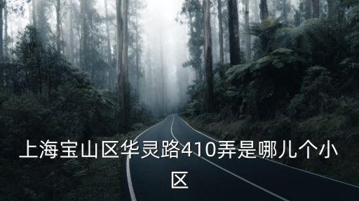 上海寶山區華靈路410弄是哪兒個小區