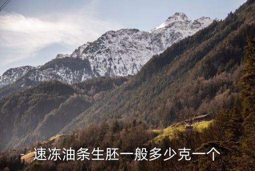 速凍油條生胚一般多少克一個
