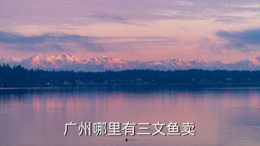 廣州哪里有三文魚賣