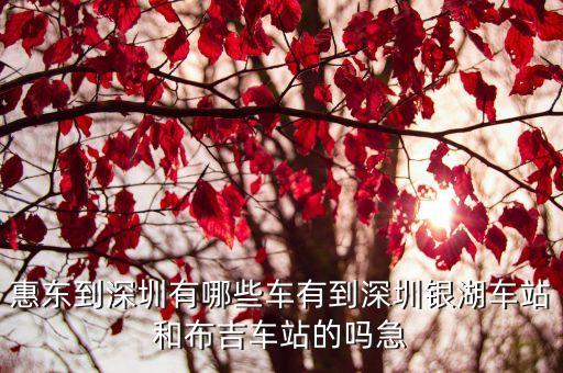 惠東到深圳坐什么車，惠東有直達深圳的大巴嗎什么號車