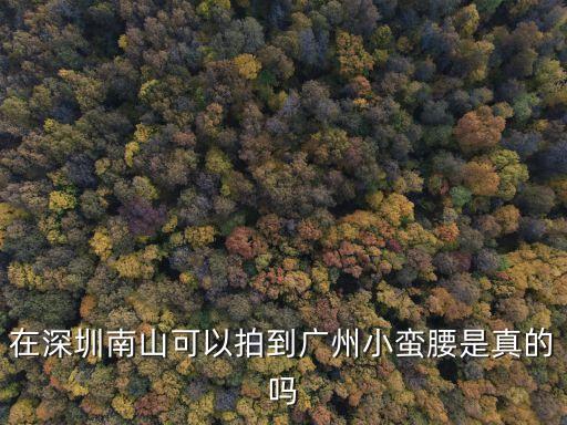 在深圳南山可以拍到廣州小蠻腰是真的嗎