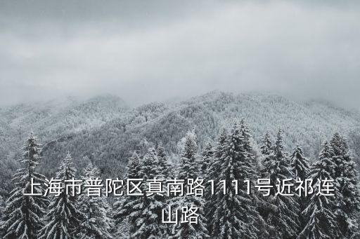 上海市普陀區真南路1111號近祁連山路