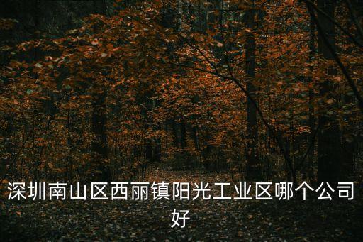 深圳南山區(qū)西麗鎮(zhèn)陽光工業(yè)區(qū)哪個公司好