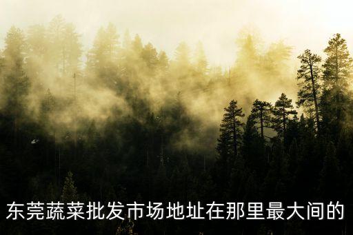 東莞蔬菜批發(fā)市場地址在那里最大間的