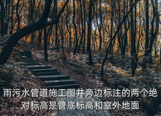 上海市雨污水檢測井設計圖，雨污水圓形檢查井蓋板尺寸 查那個圖集