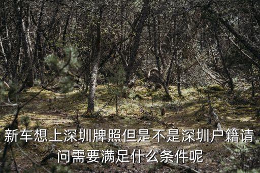 新車想上深圳牌照但是不是深圳戶籍請(qǐng)問需要滿足什么條件呢