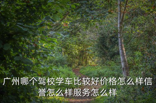 廣州哪個(gè)駕校學(xué)車比較好價(jià)格怎么樣信譽(yù)怎么樣服務(wù)怎么樣