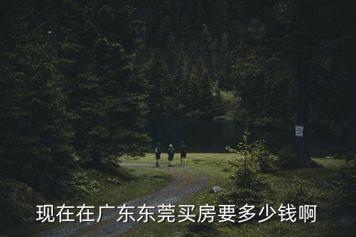 現在在廣東東莞買房要多少錢啊