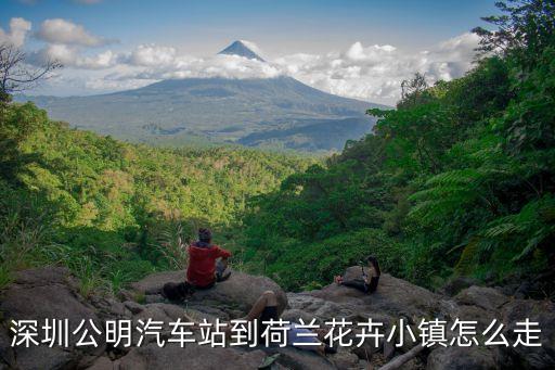 去深圳荷蘭花卉小鎮(zhèn)，深圳西麗怎樣去荷蘭花卉小鎮(zhèn)