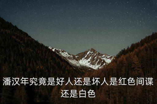 潘漢年究竟是好人還是壞人是紅色間諜還是白色