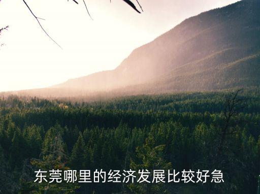 東莞哪里的經濟發展比較好急