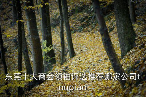 東莞十大商會領袖評選推薦哪家公司toupiao