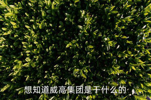 想知道威高集團(tuán)是干什么的