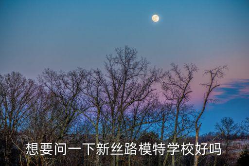 廣州新絲路模特培訓學校，想要問一下新絲路模特學校好嗎