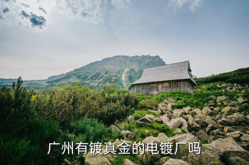 廣州有鍍真金的電鍍廠嗎