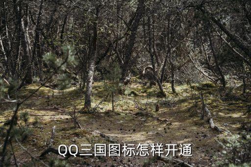 QQ三國圖標怎樣開通