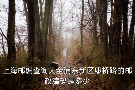 上海郵編查詢大全浦東新區康橋路的郵政編碼是多少