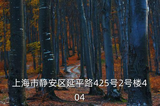上海市靜安區(qū)延平路425號(hào)2號(hào)樓404