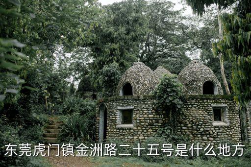 東莞虎門鎮金洲廣場舞，東莞虎門鎮金洲路二十五號是什么地方