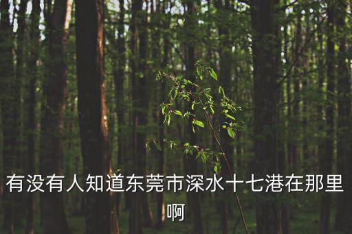 有沒有人知道東莞市深水十七港在那里啊