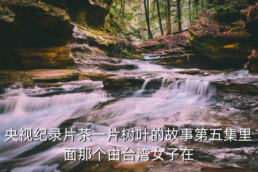 紀錄片中國新風與上海市民一起生活，上海紀實頻道直播