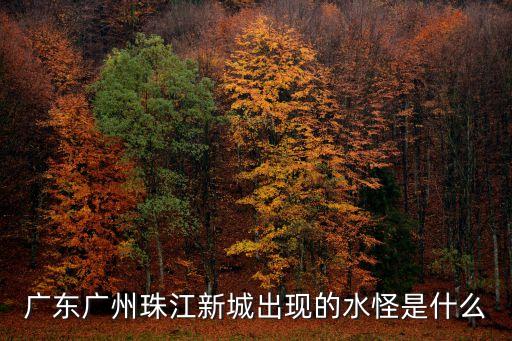 廣州珠江出現怪物，廣州海怪事件是否真實可信