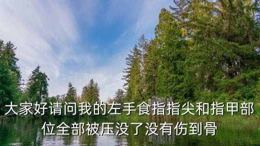 深圳指尖骨缺失評級，指尖5毫米缺損能評級