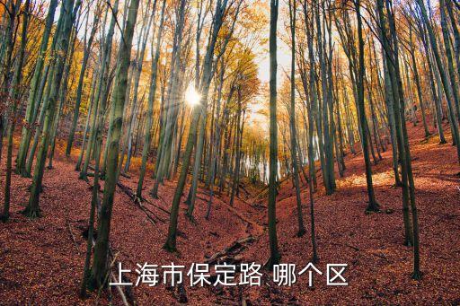 上海市保定路527號是哪個區，上海市保定路 哪個區
