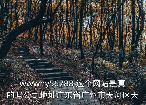 wwwhy56788 這個網站是真的嗎公司地址廣東省廣州市天河區天