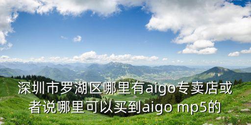 深圳市羅湖區哪里有aigo專賣店或者說哪里可以買到aigo mp5的