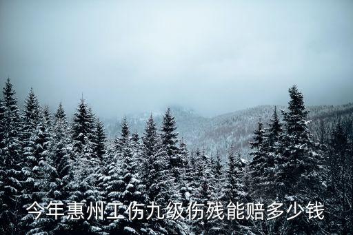今年惠州工傷九級傷殘能賠多少錢
