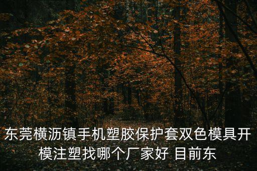東莞橫瀝鎮(zhèn)手機(jī)塑膠保護(hù)套雙色模具開模注塑找哪個(gè)廠家好 目前東