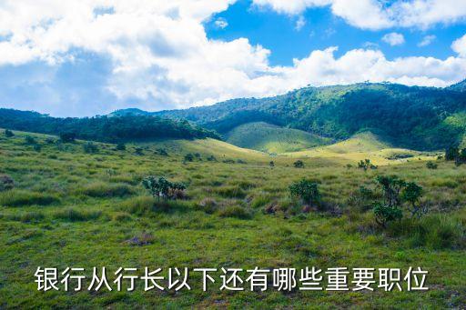 國(guó)家開(kāi)發(fā)銀行深圳行長(zhǎng)，現(xiàn)在國(guó)家開(kāi)發(fā)銀行行長(zhǎng)是誰(shuí)